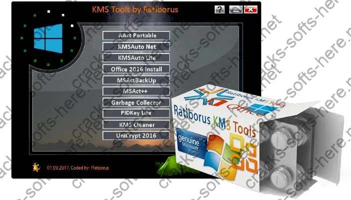 Ratiborus KMS Tools 2024 Portable Crack